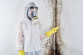 Forensic Mold Investigation in Edmore, MI